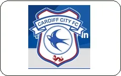 Cardiff City FC Store