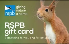 RSPB Wildlife Charity